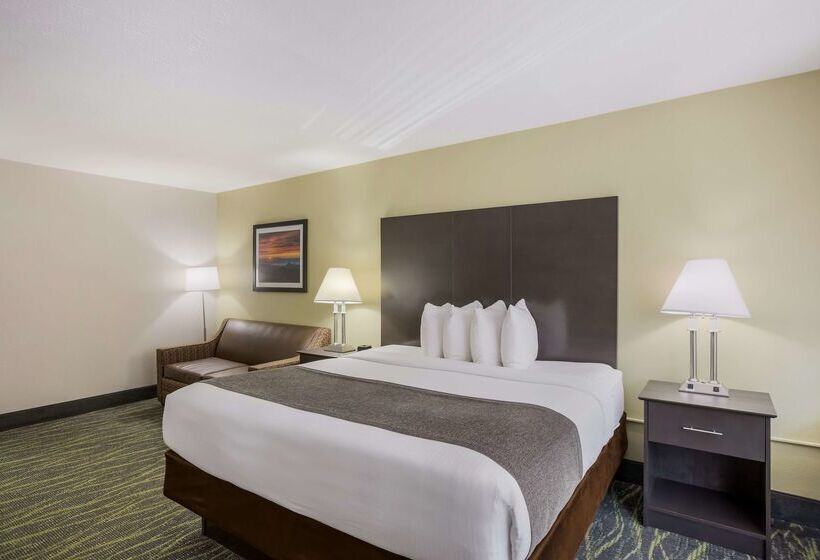 فندق Best Western Asheville Blue Ridge Parkway