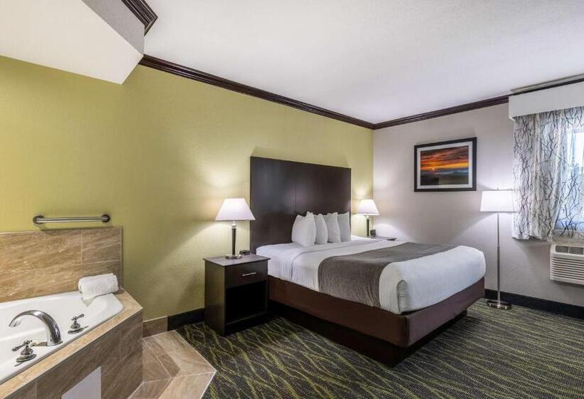 فندق Best Western Asheville Blue Ridge Parkway