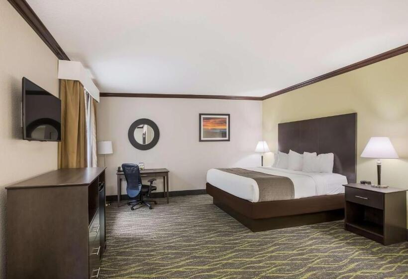 فندق Best Western Asheville Blue Ridge Parkway