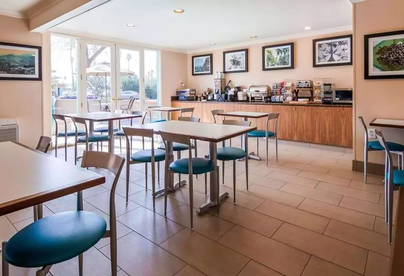 酒店 Best Western Date Tree