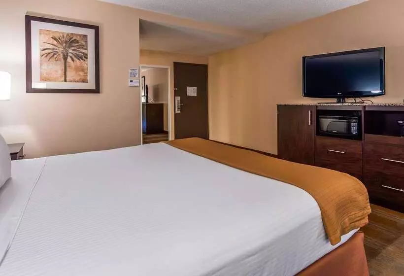 酒店 Best Western Date Tree