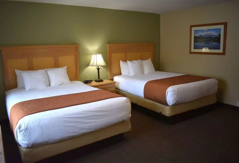 Отель Best Western Driftwood Inn