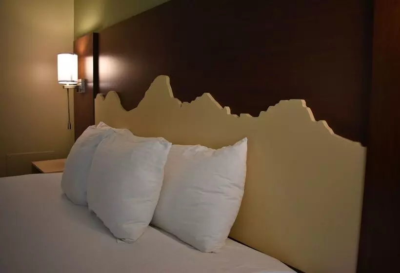 Отель Best Western Driftwood Inn