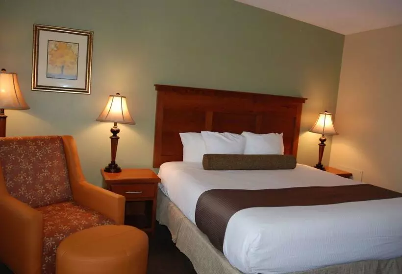 Отель Best Western Driftwood Inn