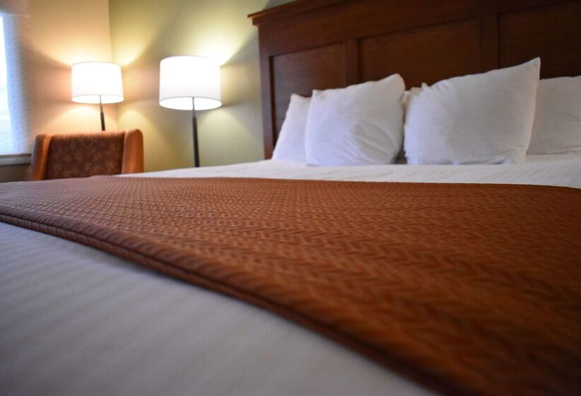 בית מלון כפרי Best Western Driftwood Inn