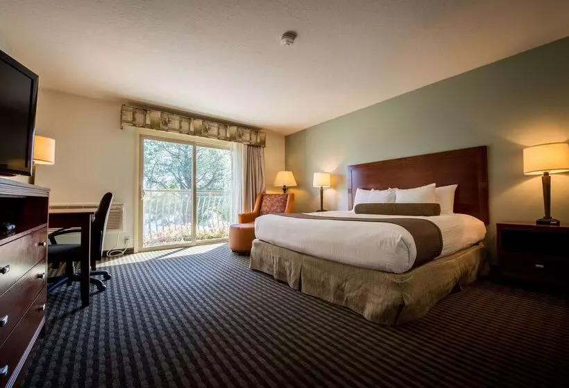 Отель Best Western Driftwood Inn