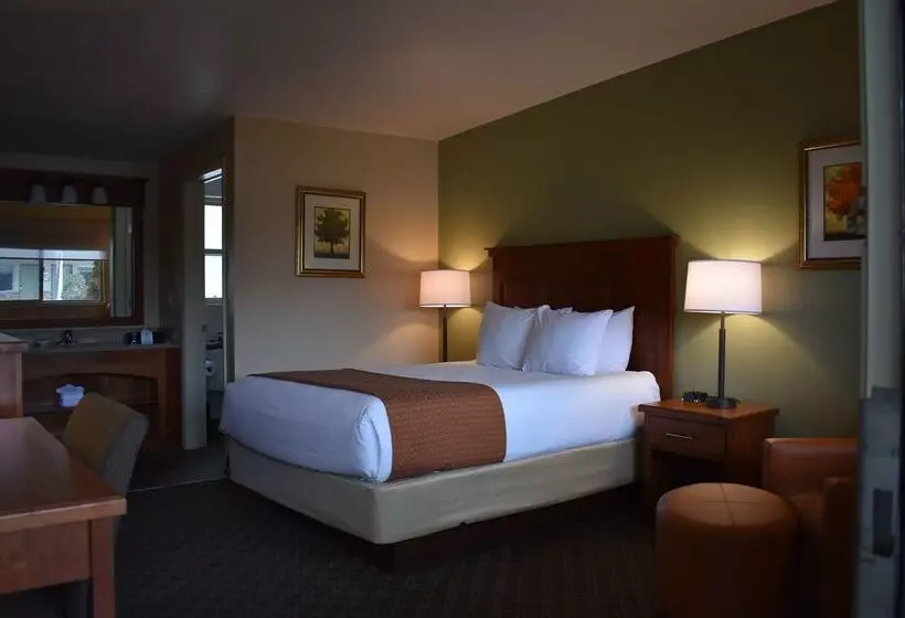 Отель Best Western Driftwood Inn