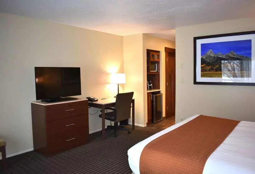 Отель Best Western Driftwood Inn