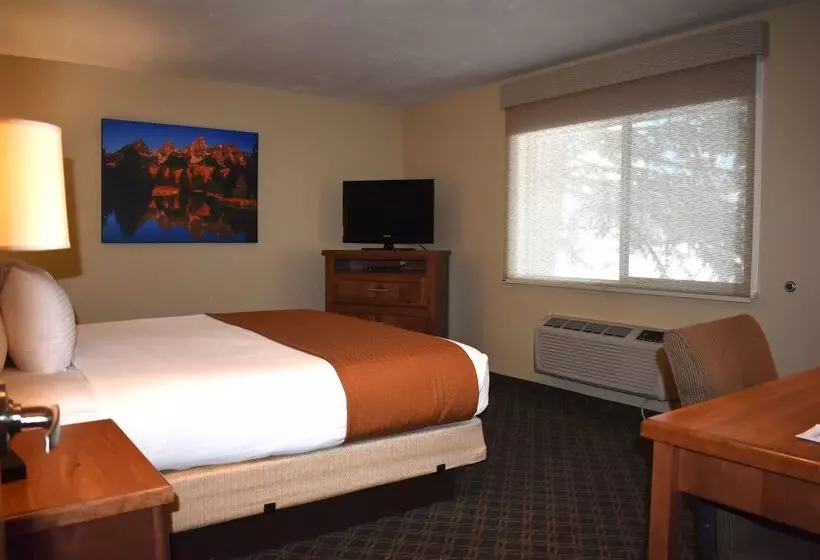 Отель Best Western Driftwood Inn