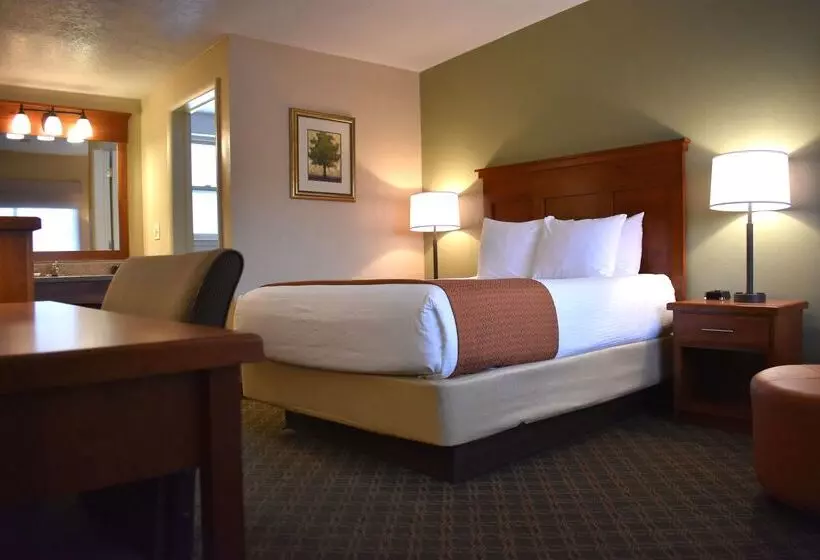 Отель Best Western Driftwood Inn