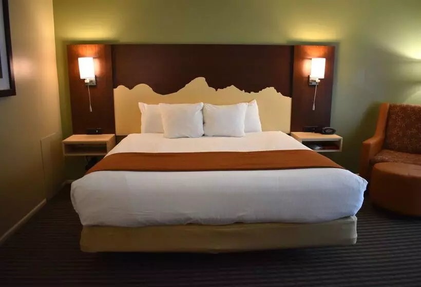 Отель Best Western Driftwood Inn