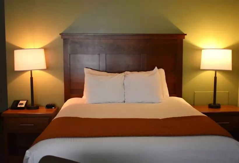 Отель Best Western Driftwood Inn