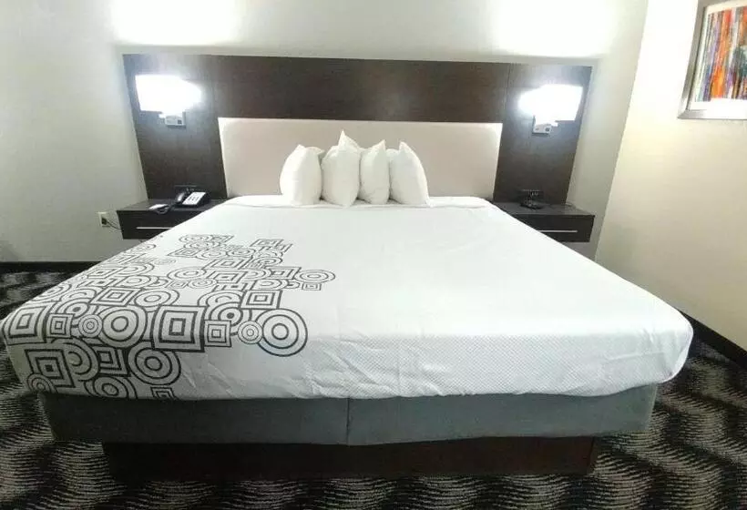 ホテル Best Western Jacksonville Inn