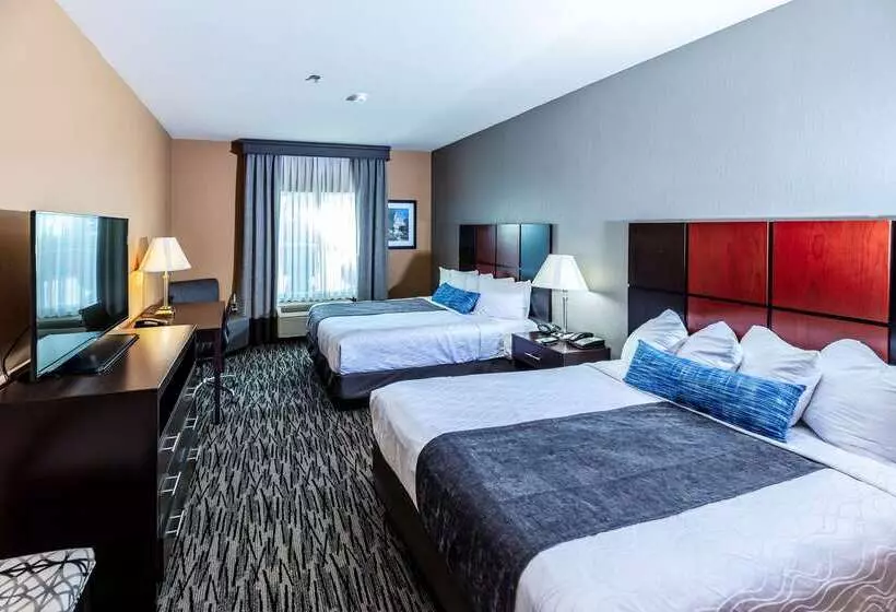 فندق Best Western Plus Denton Inn & Suites