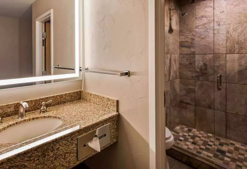 فندق Best Western Plus Kootenai River Inn Casino & Spa