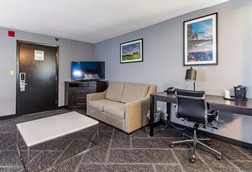 Best Western Rochester Hotel Mayo Clinic Area/ St. Mary S