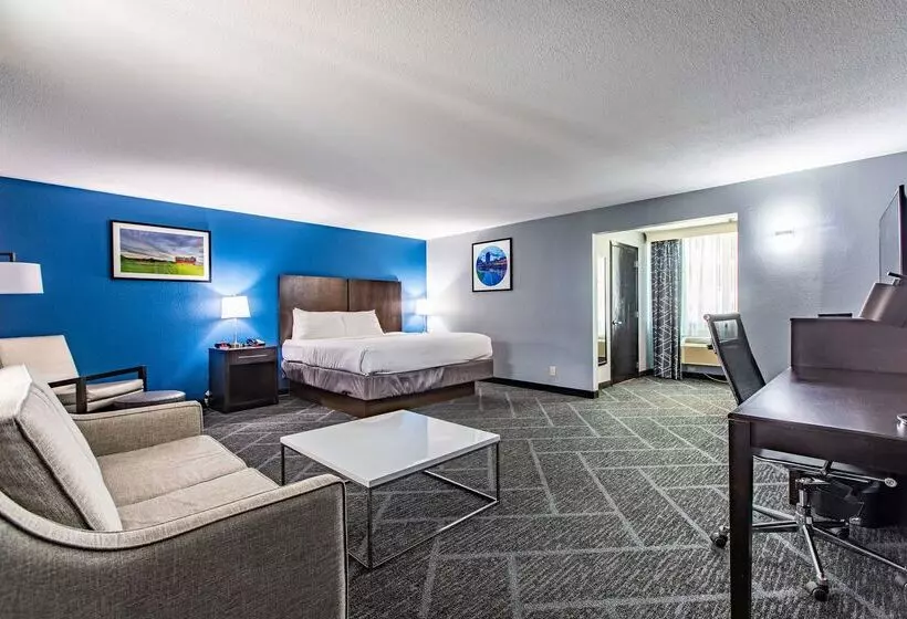 Best Western Rochester Hotel Mayo Clinic Area/ St. Mary S