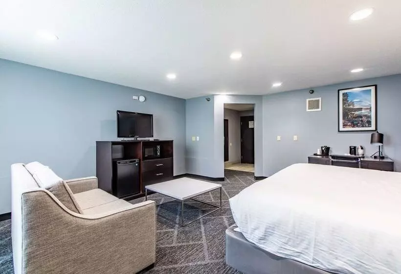 Best Western Rochester Hotel Mayo Clinic Area/ St. Mary S