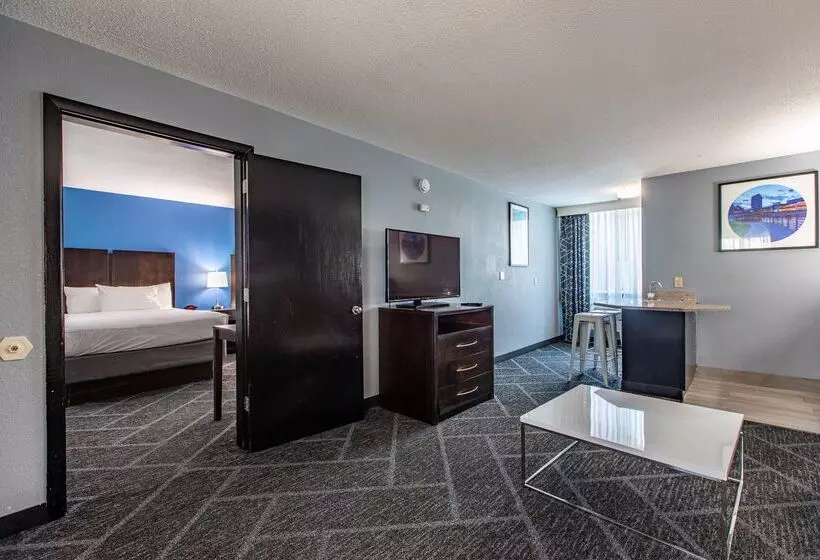 Best Western Rochester Hotel Mayo Clinic Area/ St. Mary S