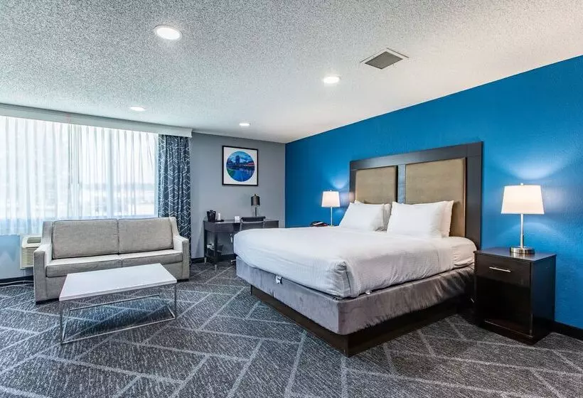 Best Western Rochester Hotel Mayo Clinic Area/ St. Mary S