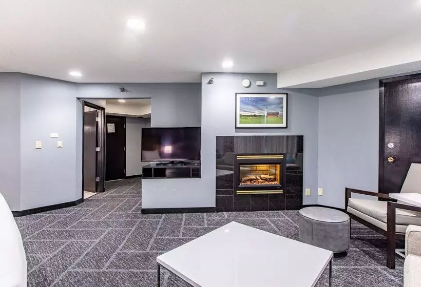 Best Western Rochester Hotel Mayo Clinic Area/ St. Mary S