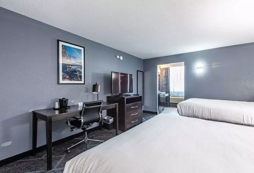 Best Western Rochester Hotel Mayo Clinic Area/ St. Mary S