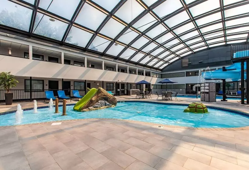 Best Western Rochester Hotel Mayo Clinic Area/ St. Mary S