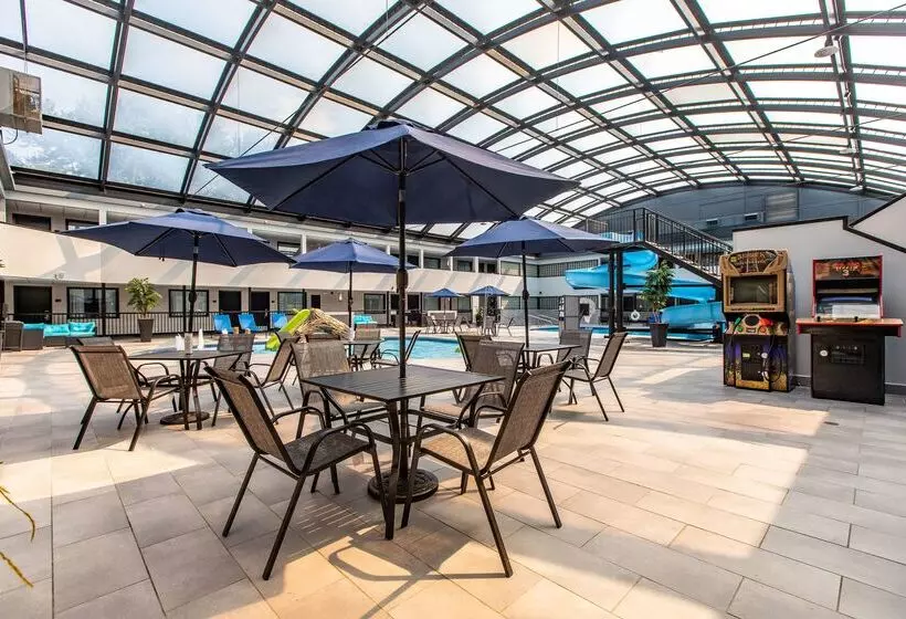 Best Western Rochester Hotel Mayo Clinic Area/ St. Mary S