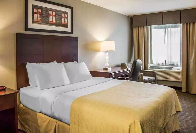 Отель Quality Inn