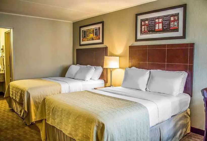 Отель Quality Inn