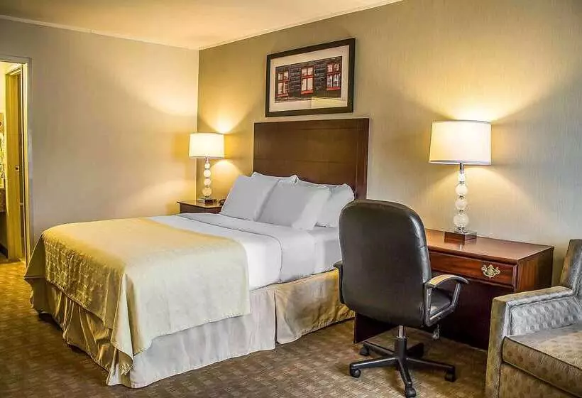 Отель Quality Inn