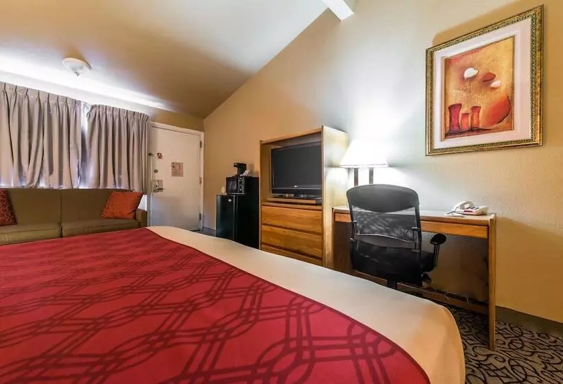 Отель Rodeway Inn