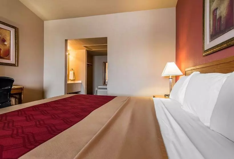 Отель Rodeway Inn