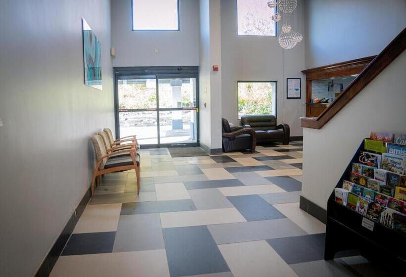 هتل Royal Inn & Suites