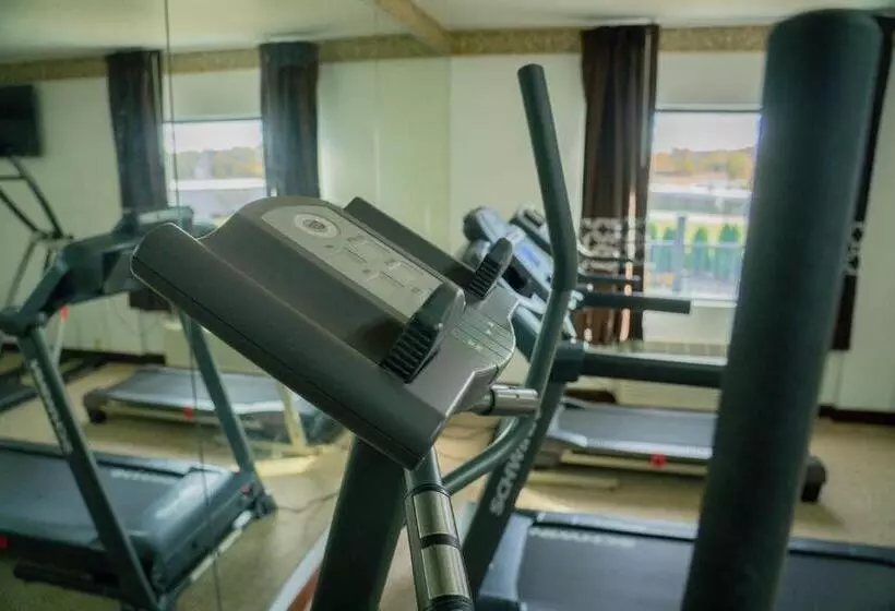 ホテル Royal Inn & Suites