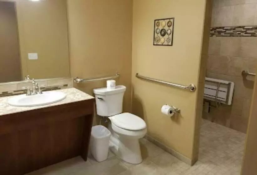 בית מלון כפרי Terrace Park Inn