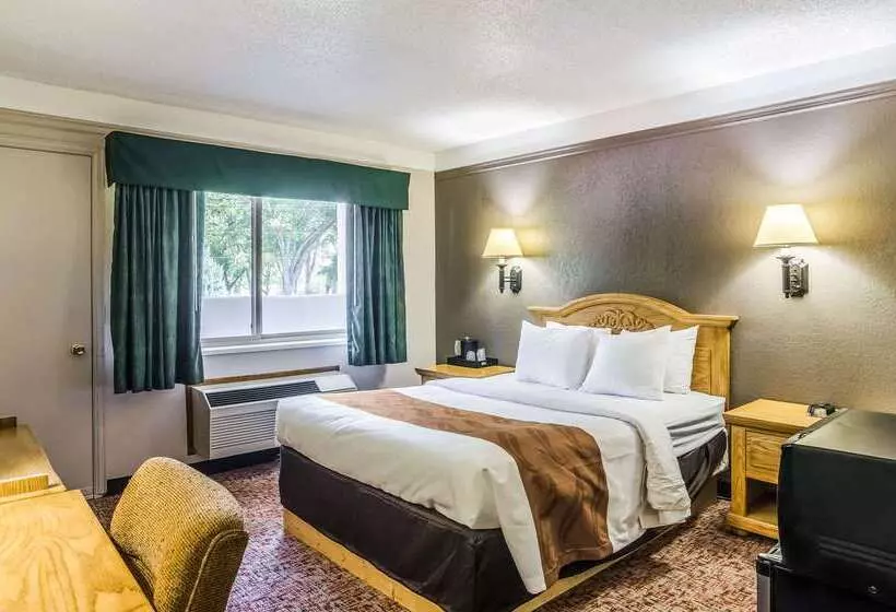 מוטל Quality Inn