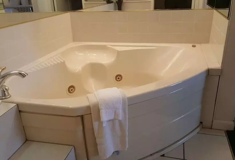 Otel Alamo Inn & Suites