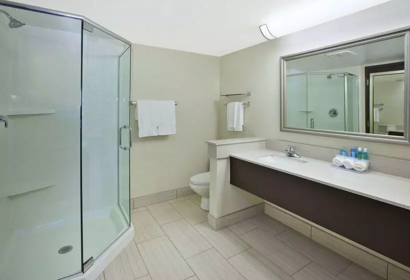 Best Western Okemos/east Lansing Hotel & Suites