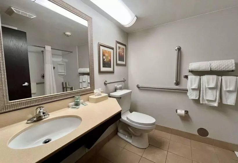 Best Western Okemos/east Lansing Hotel & Suites