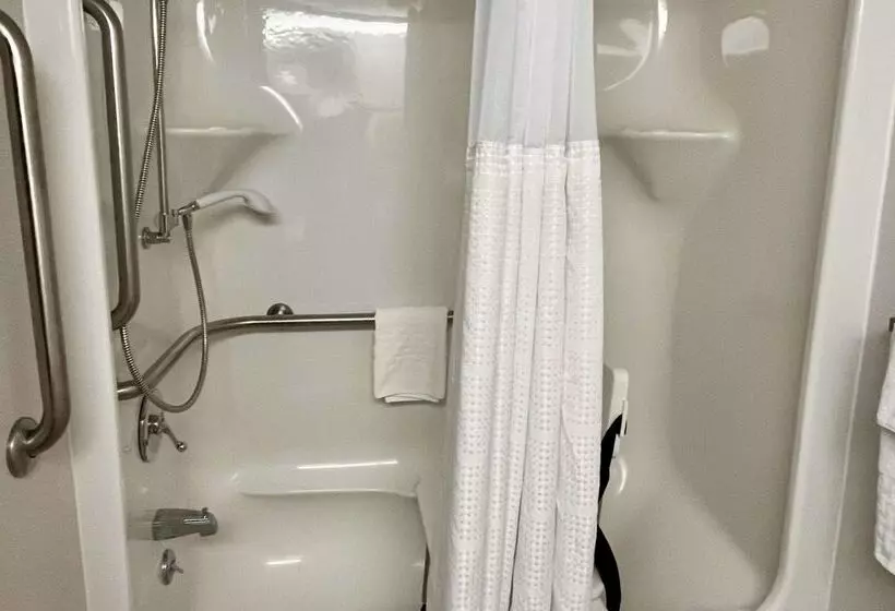 Best Western Okemos/east Lansing Hotel & Suites