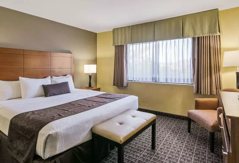 酒店 Best Western Plus Scottsdale Thunderbird Suites