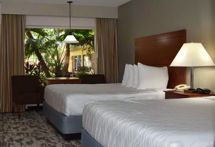 Hotel Oasis Boca Raton