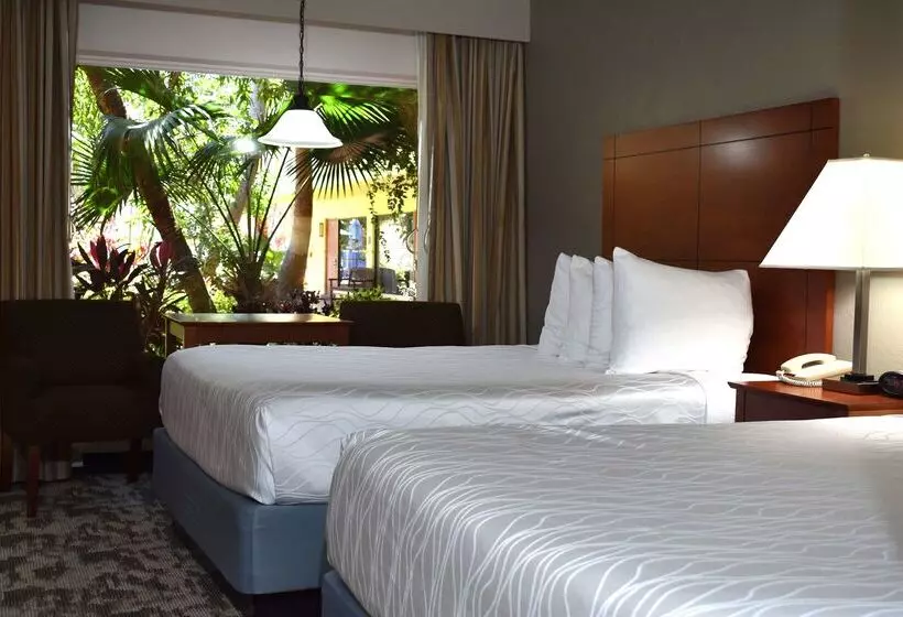 Hotel Oasis Boca Raton