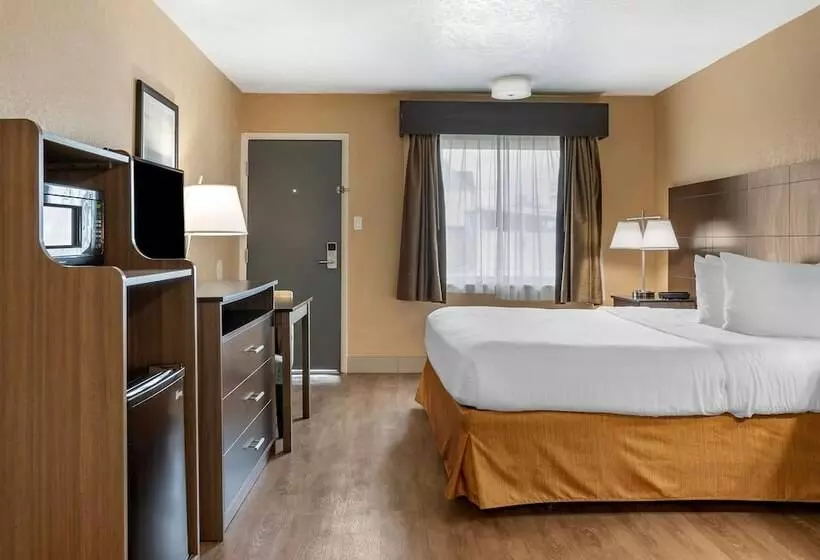 酒店 Best Western Space Shuttle Inn