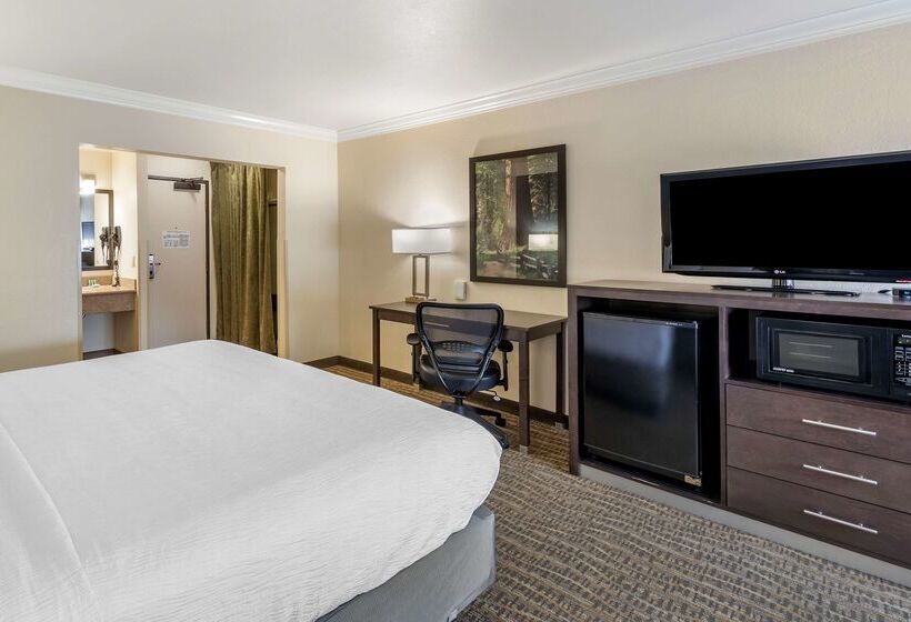 فندق Best Western Town & Country Lodge