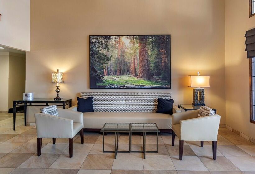 فندق Best Western Town & Country Lodge