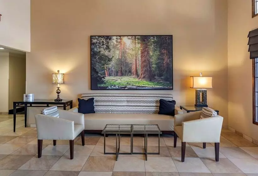 Отель Best Western Town & Country Lodge