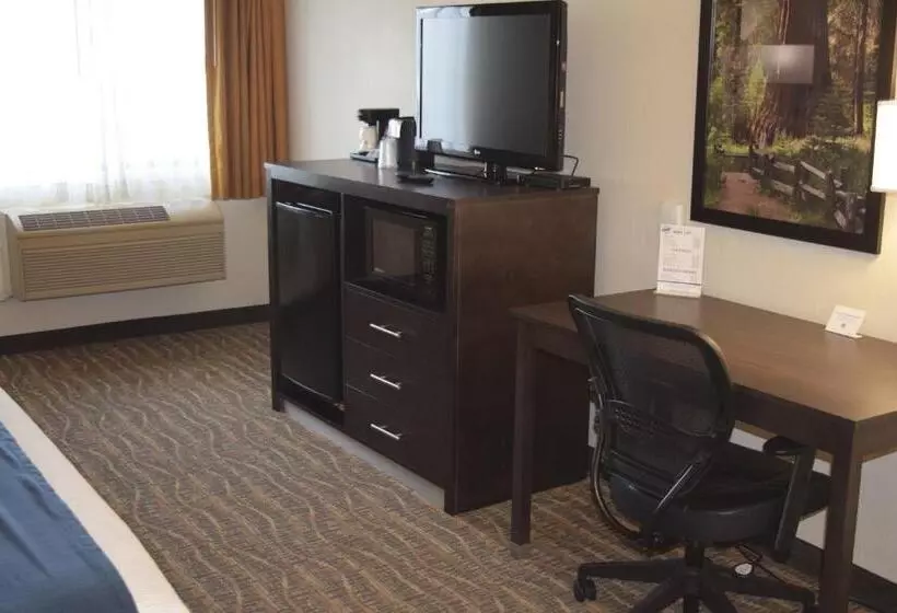 Отель Best Western Town & Country Lodge