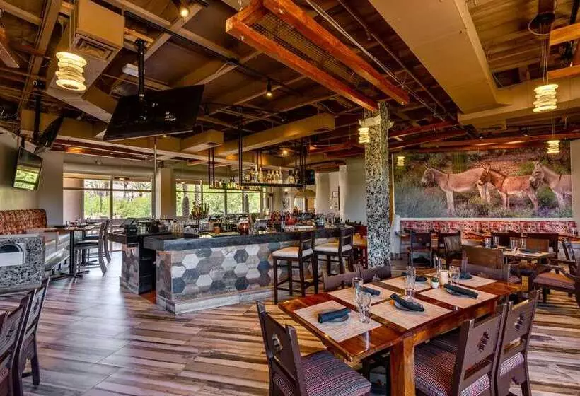 فندق Boulders Resort & Spa Scottsdale, Curio Collection By Hilton